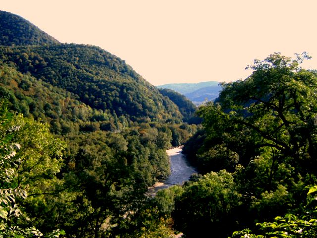 krasota.jpg